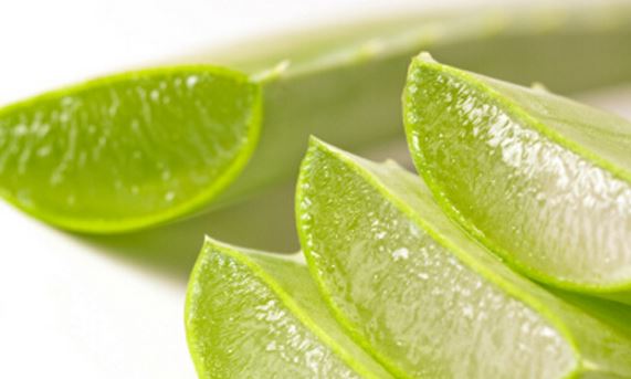 Aloe Vera is highly effective in getting rid of inflammation of your Stye