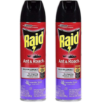 Ant Killer Spray