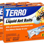 Terro-Liquid-Ant-Bait-Review