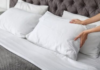 How-to-Get-Rid-of-Bed-Bugs-in-Pillows