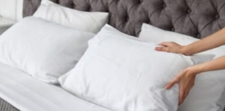 How-to-Get-Rid-of-Bed-Bugs-in-Pillows