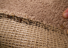 Bed-Bugs-in-Carpet