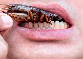 Can-Cockroaches-Crawl-in-Your-Mouth